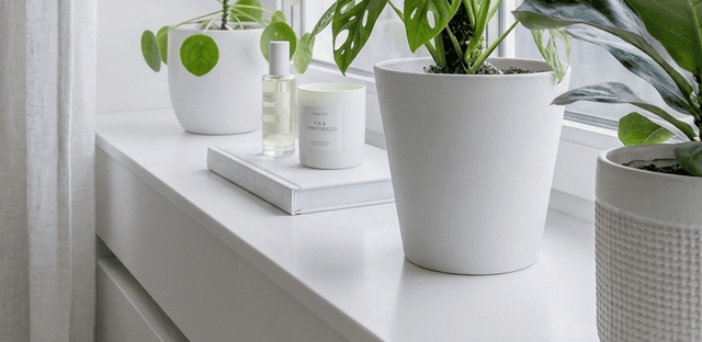 Windowsill